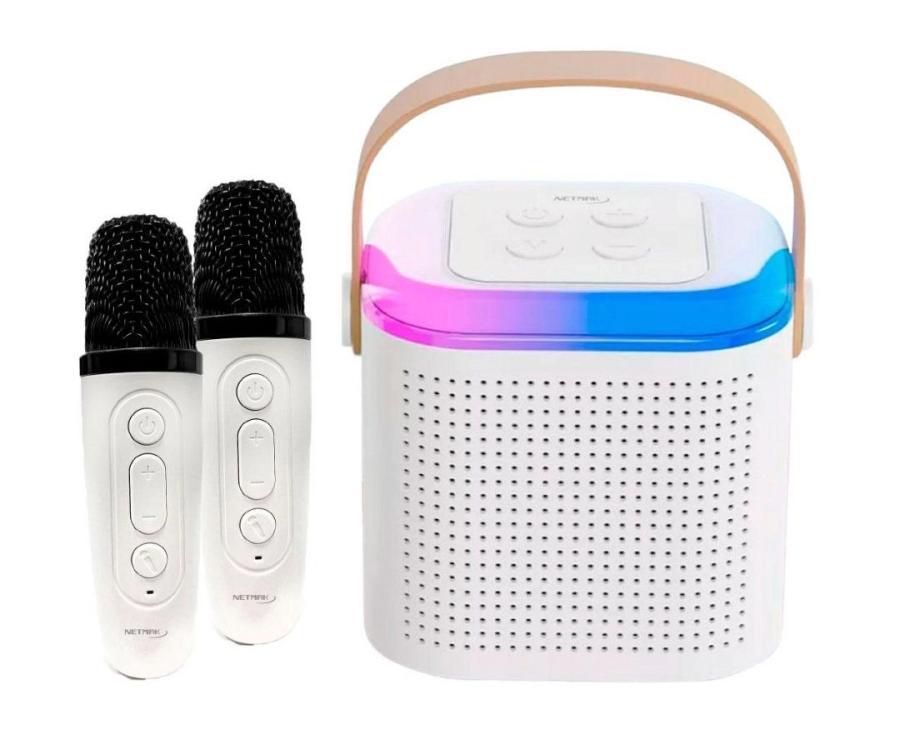 PARLANTE KARAOKE BT CON 2 MICROFONOS + LUCES LED NM-MOLLY